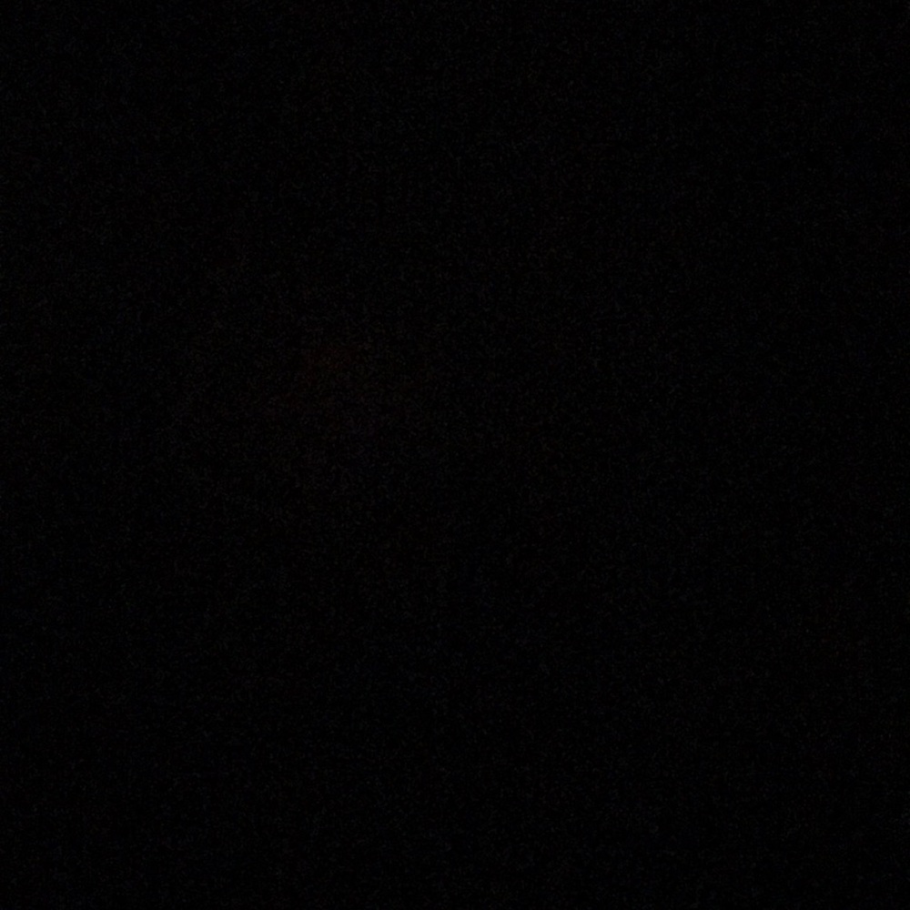 Meet your Posher, Amelia